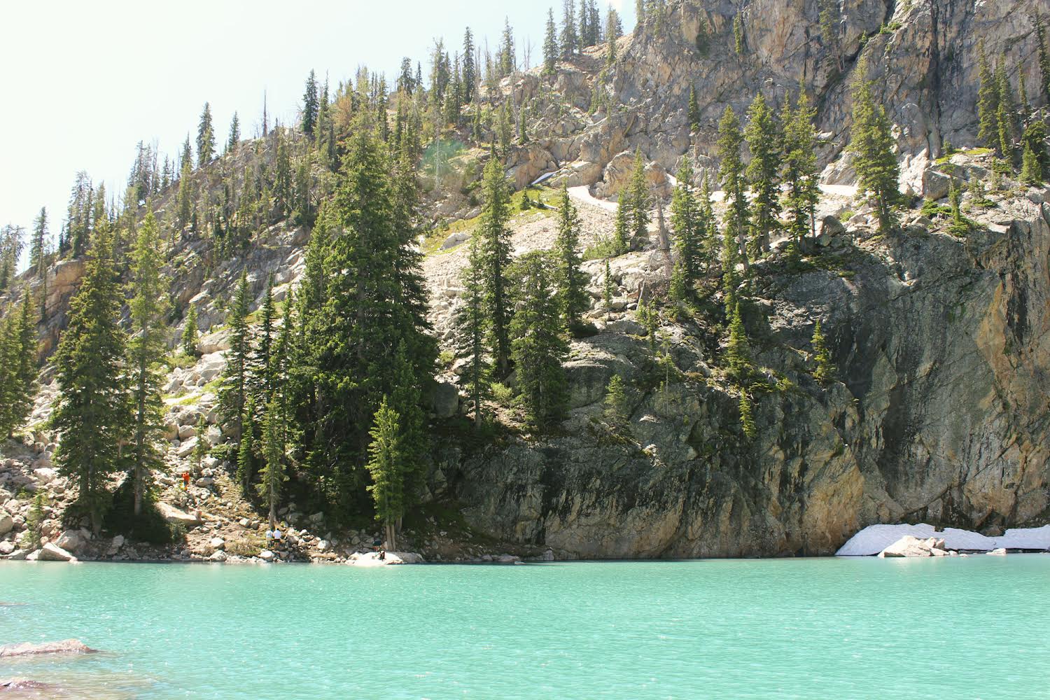 Alpine Lake in the Mountains with trees and Nature