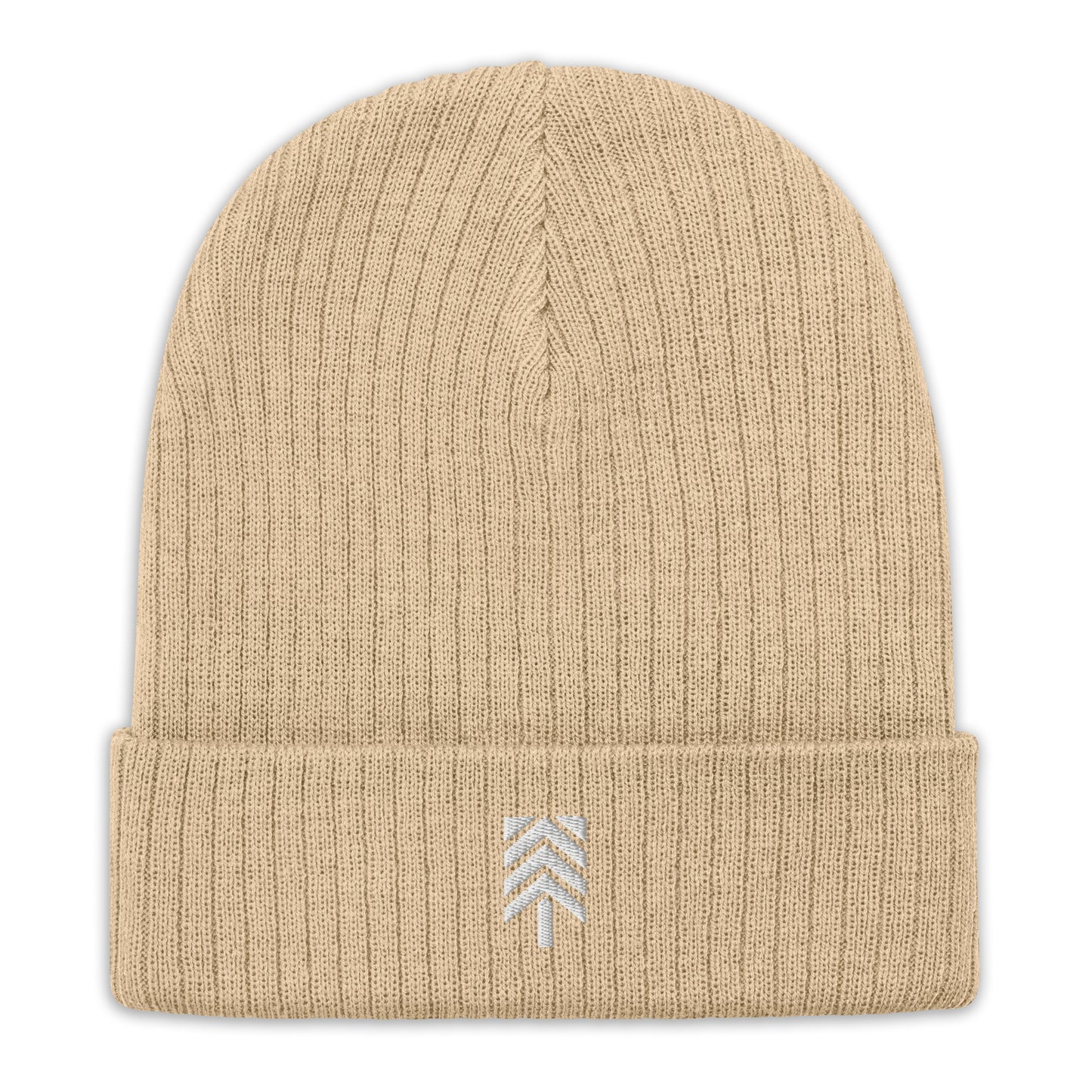 Logo Ribbed Knit Beanie