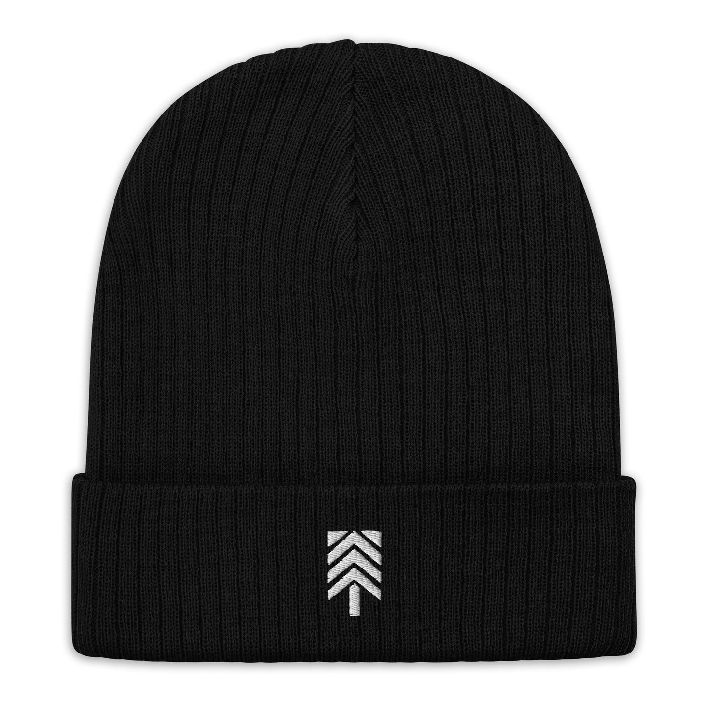 Logo Ribbed Knit Beanie