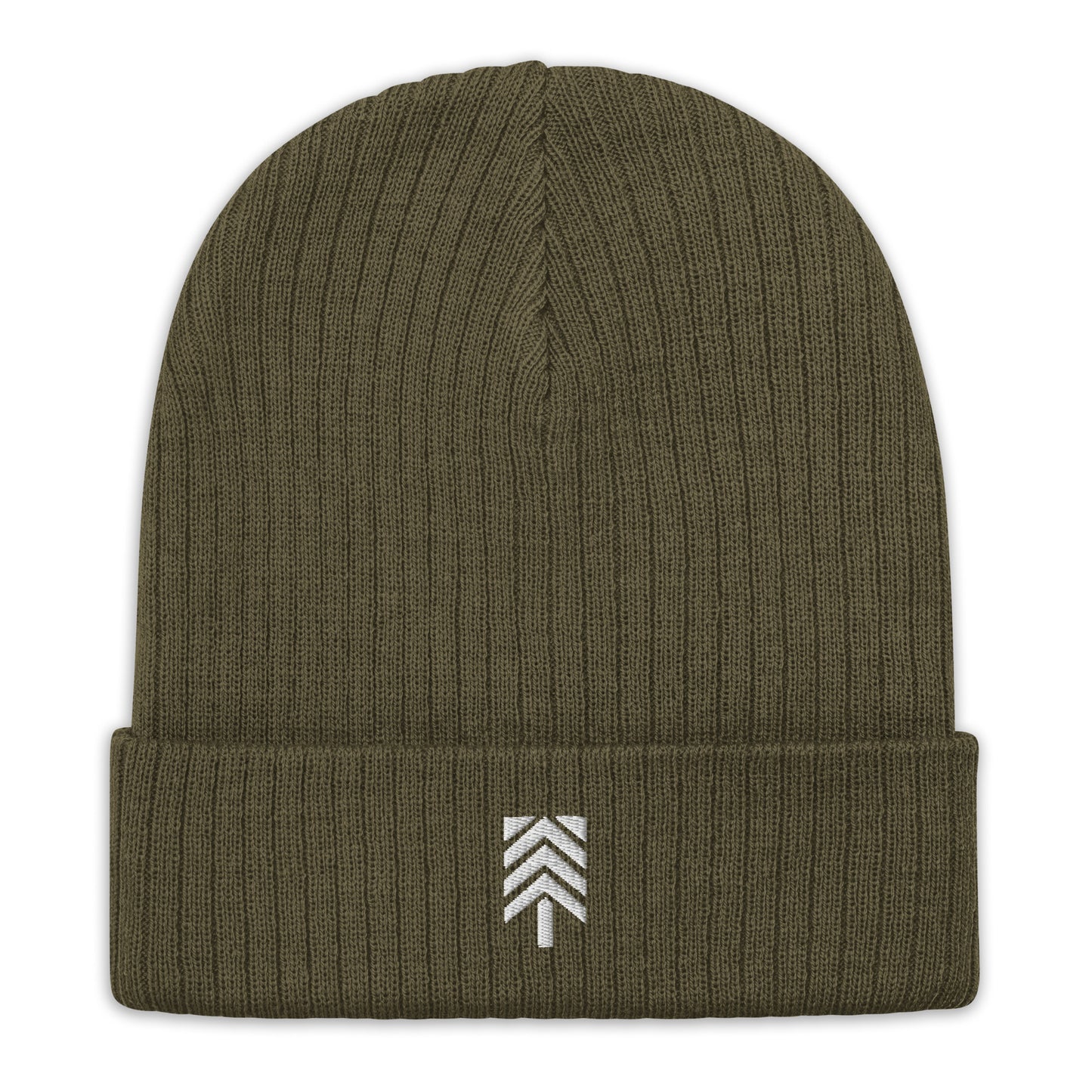 Logo Ribbed Knit Beanie